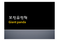 보전유전학,판다,판다유전적특징,판다분포