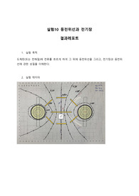 한양대학교 등전위선과 전기장 결과레포트