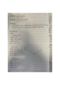 CdSe 양자점 합성