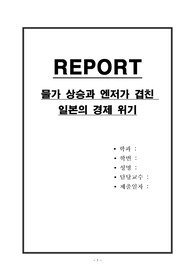 물가 상승과 엔저가 겹친 일본의 경제 위기