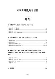 사회학개론 청년실업 보고서