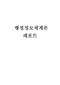 행정정보체계론 리포트