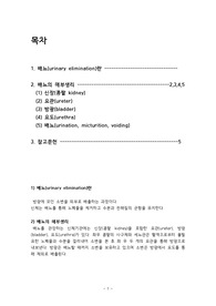 배뇨 해부생리