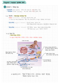 A+ 간호학과 인체구조와 기능 손글씨 정리