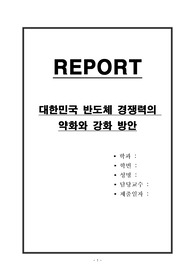 대한민국 반도체 경쟁력의 약화와 강화 방안