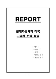 현대자동차의 미국 고급차 전략 성공