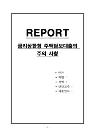 금리상한형 주택담보대출의 주의 사항