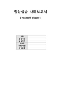 가와사키 케이스