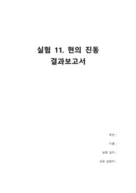 (11) 현의 진동 A+ 20점