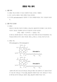[일반생물학실험]광합성 색소 분리