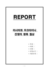 러시아와 우크라이나 전쟁의 평화 협상