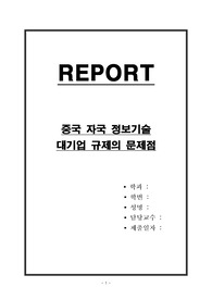 중국 자국 정보기술 대기업 규제의 문제점