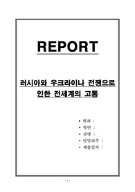 러시아와 우크라이나 전쟁으로 인한 전세계의 고통