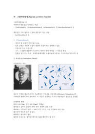 미생물 그람양성막대균, 그람양성알균, 그람음성알균, 스피로헤타, 미코플라스마, 리케차, 클라미디아, 장내세균과 등 자료조사, 사진첨부 등