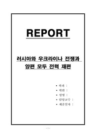 러시아와 우크라이나 전쟁과 양편 모두 전력 재편