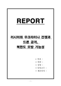 러시아와 우크라이나 전쟁과 드론 공격, 북한도 모방 가능성