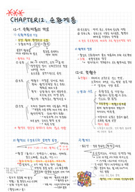 인체구조와 기능 순환계통, 림프계통 손글씨 노트 정리