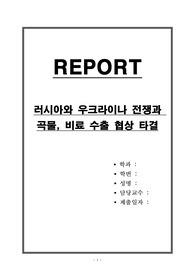 러시아와 우크라이나 전쟁과 곡물, 비료 수출 협상 타결