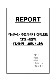러시아와 우크라이나 전쟁으로 인한 유럽의 경기침체,고물가 지속