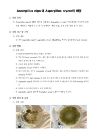 [식품미생물학실험]Aspergillus niger과 Aspergillus oryzae 의 배양