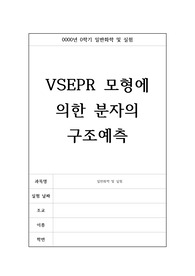 1018 VSEPR 모형에 의한 분자의 구조예측