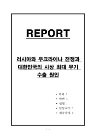 러시아와 우크라이나 전쟁과 대한민국의 사상 최대 무기 수출 원인