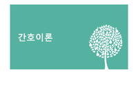 간호이론 - 개념개발 PPT