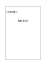 간호 이론활용한 논문분석