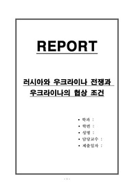 러시아와 우크라이나 전쟁과 우크라이나의 협상 조건