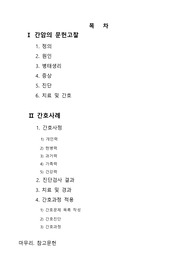 간암 간호진단 A+++++++ 확정