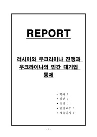 러시아와 우크라이나 전쟁과 우크라이나의 민간 대기업 통제