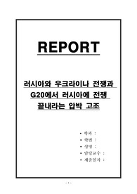 러시아와 우크라이나 전쟁과 미,러 정보 수장 회담