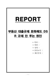 부동산 대출규제 완화해도 DSR 규제 안 푸는 원인
