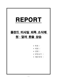 러시아의 나토 미사일 공격 소식에 원,달러 환율 상승
