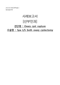 모성간호학 실습 난소낭종 문헌고찰, 퇴원관리, 간호과정 케이스