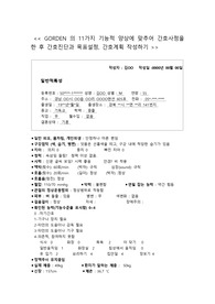 GORDEN(고던)의 11가지 기능적 양상에 맞추어 간호사정을 한 후 간호진단과 목표설정, 간호계획 작성하기