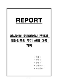 러시아와 우크라이나 전쟁과 대한민국의 무기 산업 대국 기회