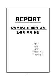 삼성전자와 TSMC의 세계 반도체 투자 경쟁