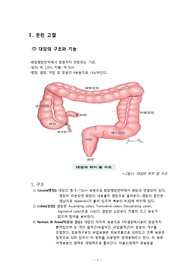 대장암 &amp;대장내시경 ward class 한글파일 &amp; 발표 ppt