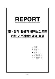 원,달러 환율의 불확실성으로 인한 거주자외화예금 폭증