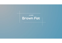 기초영양학 brown fat 발표자료
