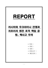 러시아와 우크라이나 전쟁과 자포리자 원전 포격 책임 공방, 핵사고 우려