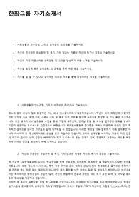 한화그룹 자기소개서 ((주) 한화, 서류합격/인적성합격)