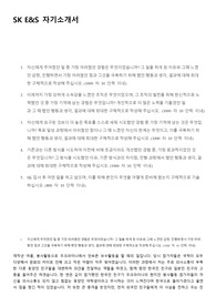 SK E&amp;S 자기소개서 (서류 및 인적성합격)