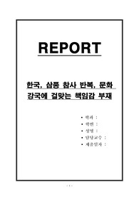 한국, 삼풍 참사 반복, 문화 강국에 걸맞는 책임감 부재