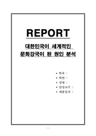 대한민국이 세계적인 문화강국이 된 원인 분석
