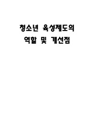 청소년 육성제도의 역활 및 개선점