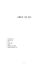 스페인어 기본 정리