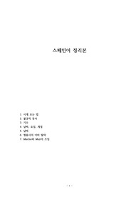 스페인어 정리본