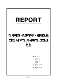 러시아와 우크라이나 전쟁으로 인한 나토와 러시아의 전면전 분석